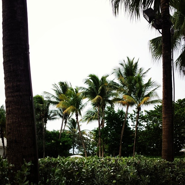 Last full day in Miami,  abit rainy,  don't mind going home tomorrow..